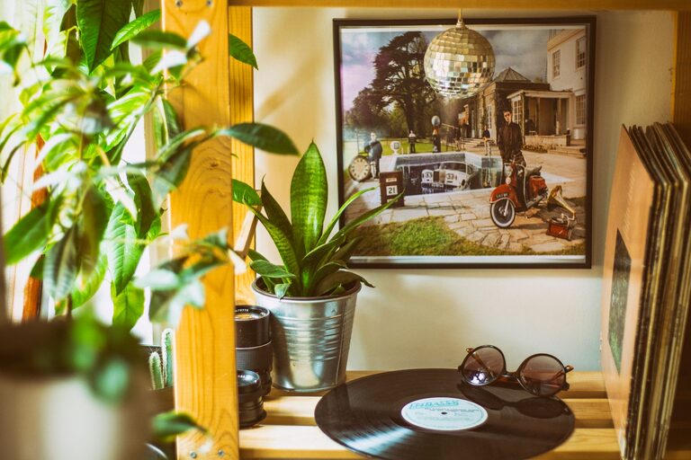 How to Refresh Your Home with Plants: Simple Tips for Every Room